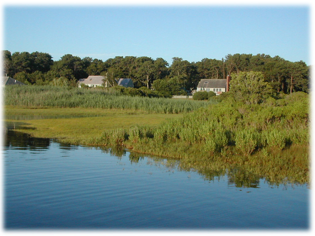Martha's Vineyard Rentals
